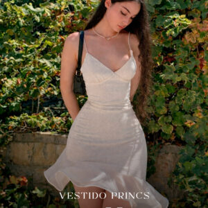 Vestido Princs